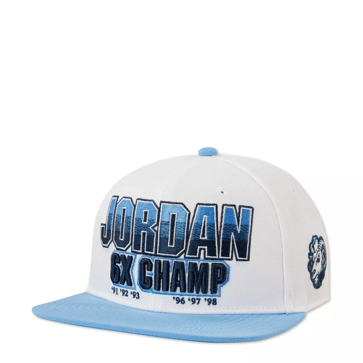 Youth AJ11 UNC Retro GOAT Snapback